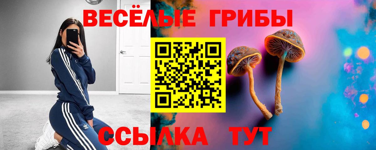 Галлюциногенные грибы Cubensis Альметьевск